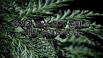 숨겨진 보석💎 통가 문화, 그 매력 속으로 풍덩! 🌊