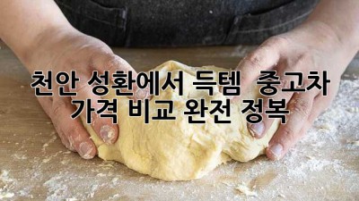 천안 성환에서 득템?! ✨ 중고차 가격 비교 완전 정복! 🚗💨